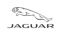 ジャガー jaguar